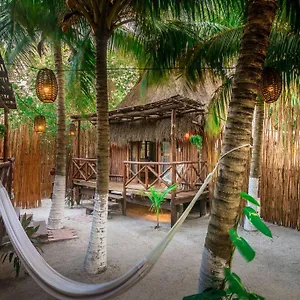 https://eco-cabanas-laak-holbox-adults-only.quintano-roohotels.com